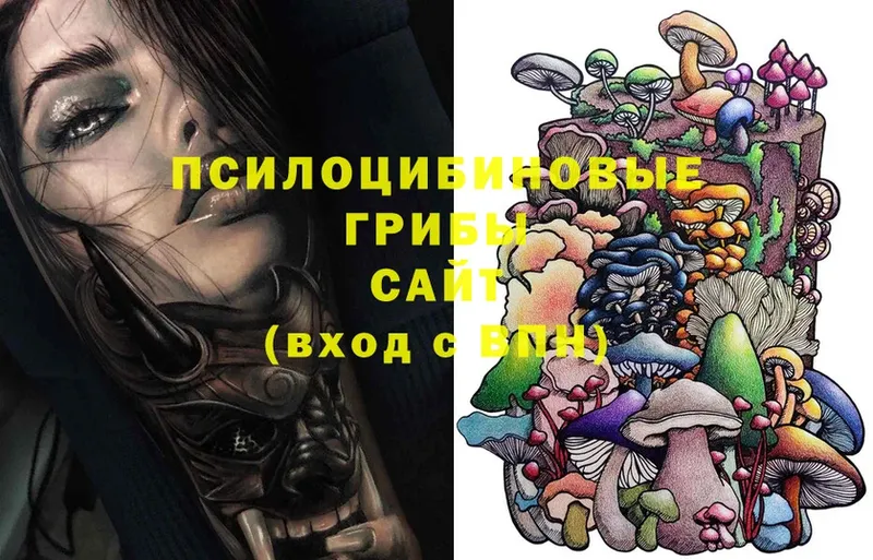 Псилоцибиновые грибы Cubensis  закладка  Змеиногорск 